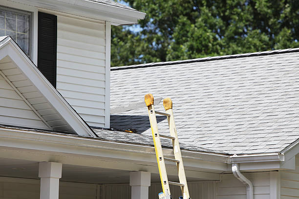 Best Stucco Siding  in Superior, WI